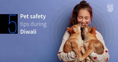 5 pet safety tips during Diwali